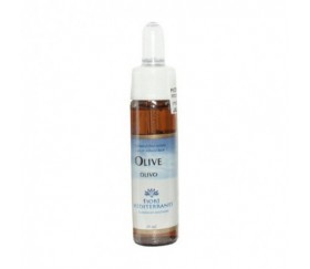 FM OLIVE (Olivo) 10 ml -...