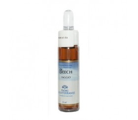 FM BEECH (Haya)  10 ml -...