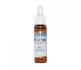 FM MUSTARD (Mostaza) 10 ml...