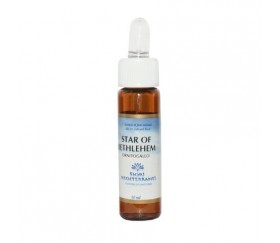 FM STAR OF BETHLEHEM 10 ml...