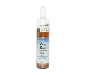 FM WILD ROSE (Rosa...