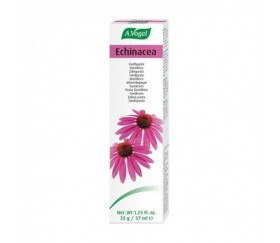 DENTAFORCE ECHINACEA pasta...