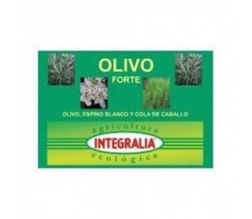 SALVIA FORTE ECO 60...