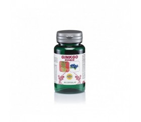 GINKGO - ROBIS 40 cápsulas...