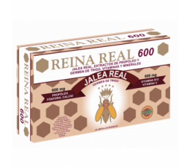 REINA REAL  600 - 20...
