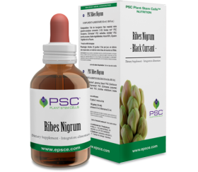 PSC RIBES NIGRUM  15 ml -...