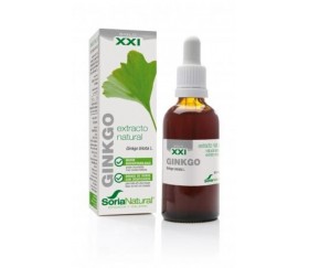 EXTRACTO  GINKGO BILOBA S...
