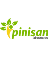 Pinisan